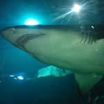Michael Sissons - @psyke666 - Instagram