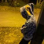 Michał Sitko - @michal_sitko.gg - Instagram