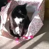 michaelsiviter128 - @michaelsiviter128 - TikTok