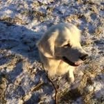 Michael Sjögren - @sjogrenmichael - Instagram