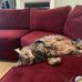 Michael Skeeter - Facebook