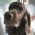 Michael Laing Skene - @skinnyskene - Instagram