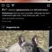 Michael Skillings - Facebook