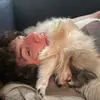 Michael Skoog - @zirb0 - TikTok