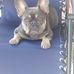 Mike Slaght - Facebook