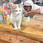 Michael Sledge - @michaelsledgejr - Instagram