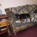 Michael Chicagomike Slotnick - @chicagomike0172 - Instagram