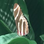 Michael Slotnick - @michael.slotnick - Instagram