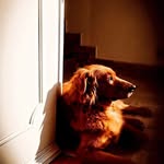 Michael Smale - @bongoandmike - Instagram