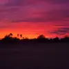 Michael.smallpoo - @michael.smallpoo - TikTok