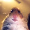 Michael Smart - @michaelsmart0.4 - TikTok