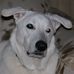 Michael Sokoloff - Facebook
