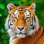 Michael Soprano - @michael.soprano.98 - Instagram