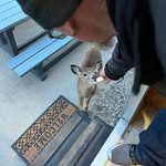 Michael Sorger - @michael.sorger - Instagram