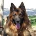 Michael Soria - Facebook
