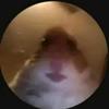 Michael Soto - @michaelboy64 - TikTok