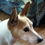 Michael James Sowerby - @sowerby_michael - Instagram