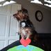 Michael Sowerby - Facebook