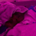Michael Sowerby - @06.ms.06 - Instagram