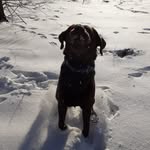 Michael Speicher - @michael.speicher.3 - Instagram