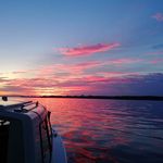 Michael Speidel - @micha_speidel - Instagram