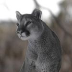 MICHAEL SPEIR - @forgottenhorizon - Instagram