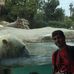Michael Spevak - Facebook