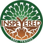 Michael Speyer - @inspeyeredtree - Instagram