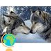 Micheal Sidle - Facebook