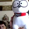 Michael Spinelli - @michael.spinelli10 - TikTok