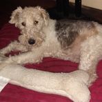 Michael Spinney - Facebook