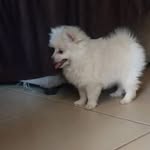 Michael Parota Musambani - @michaelspiralomusambani - Instagram
