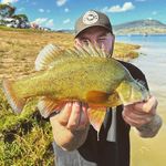 Michael Spiteri - @mickspiteri - Instagram