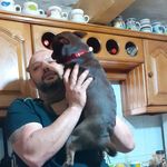 Michael Spiteri - @michael.spiteri.3726 - Instagram