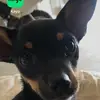 Micheal Spiteri - @micheal_spiteri - TikTok