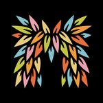 Michael Spitz - @michaelspitz - Instagram
