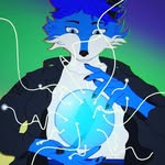Michael Spring - @michael_the_arctic_fox - Instagram