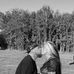 Michael Handyman Springer - Facebook