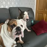 Michael Spruce - @spruce3681 - Instagram