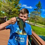 Michael Squires - @michael.squires.12532 - Instagram