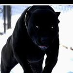 Michael Jean srour - @michaeljeansrour - Instagram