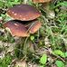 Michael Staack - Facebook