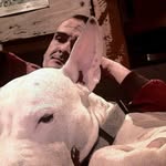 Michael Stack - @micklaw4u - Instagram