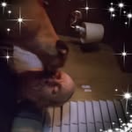 Michael Staley - @staley5 - Instagram
