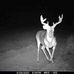 Mike Stanaland - Facebook