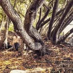 Michael Anthony Standring Jr. - @standring_420 - Instagram
