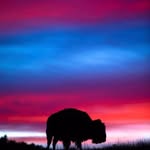 Michael Stann - @mikestann - Instagram
