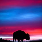 Michael Stann - Facebook