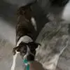 michaelstannard5 - @michael.stannard - TikTok
