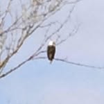 Michael Dale Staten - @michael.d.staten - Instagram